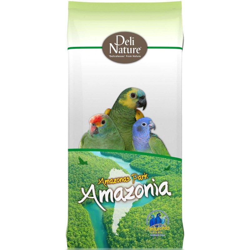 Perroquets Amazonia